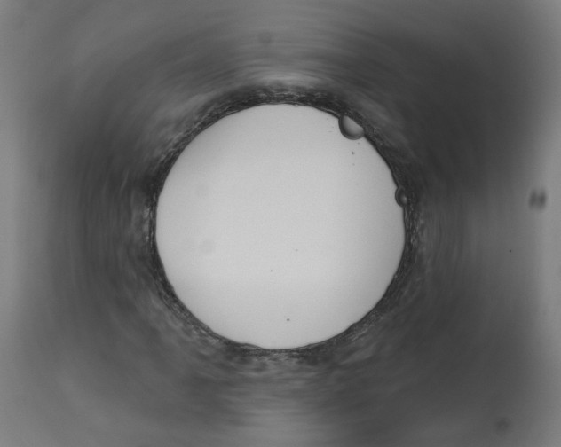 X0000112761061200909171244
