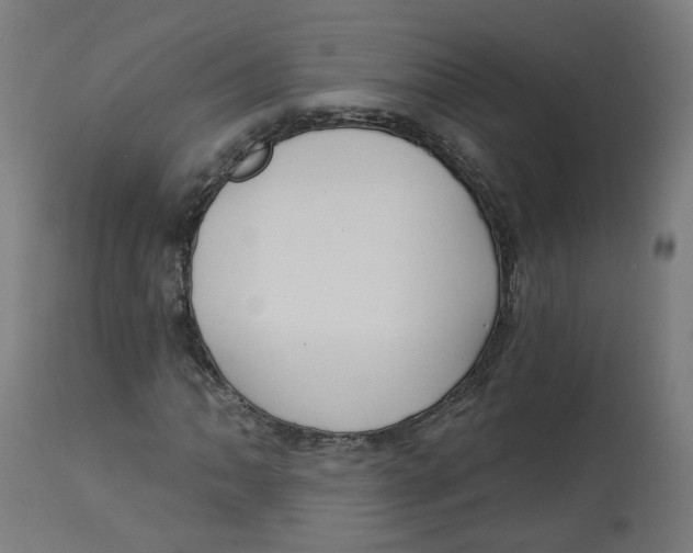X0000112761062200909171244
