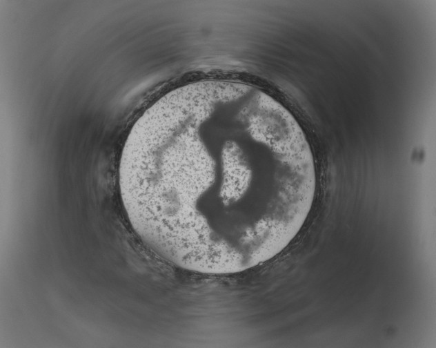 X0000112761063200909171244