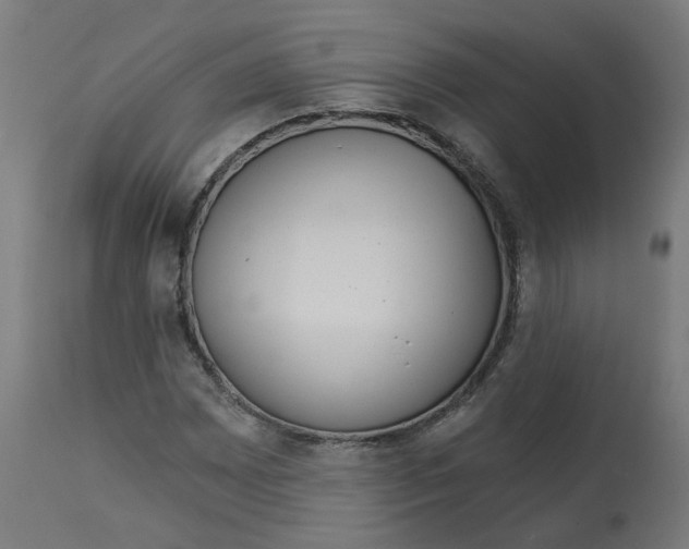 X0000112761065200909171244