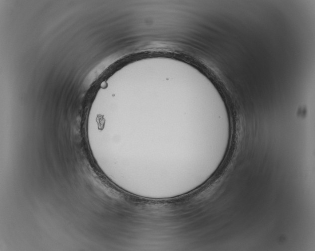 X0000112761066200909171244