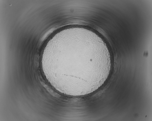 X0000112761067200909171244