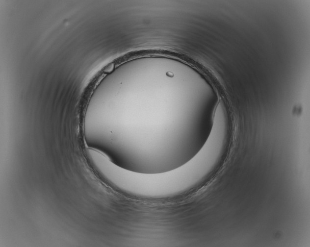 X0000112761069200909171244