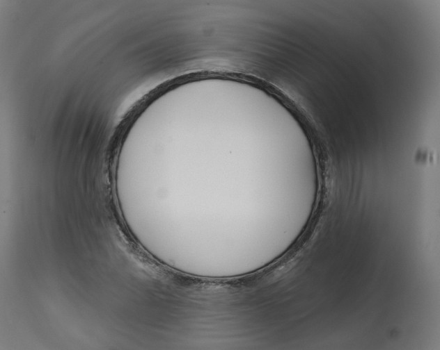 X0000112761070200909171244