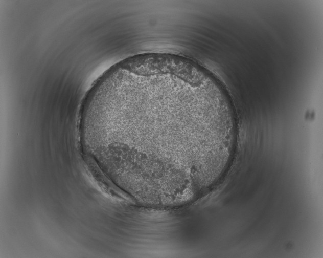 X0000112761071200909171244