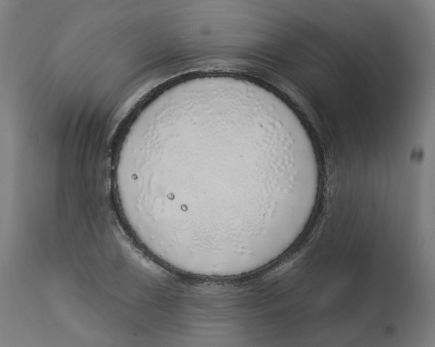 X0000112761075200909171244