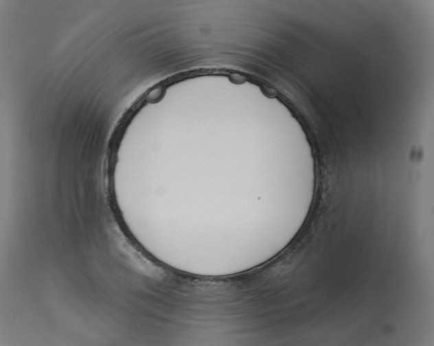 X0000112761076200909171244