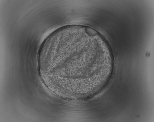 X0000112761077200909171244