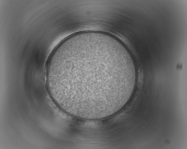 X0000112761078200909171244