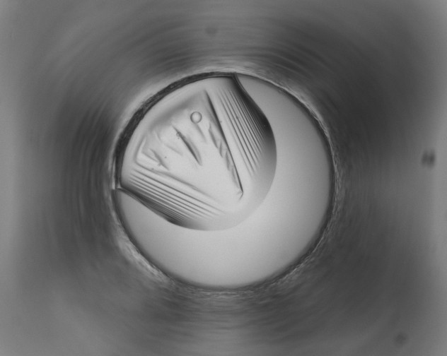 X0000112761080200909171244
