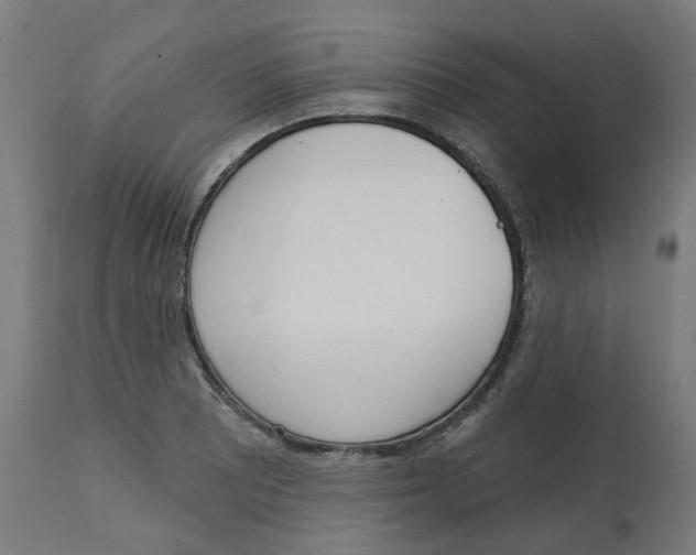 X0000112761081200909171244