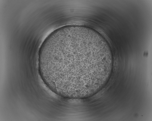 X0000112761083200909171244