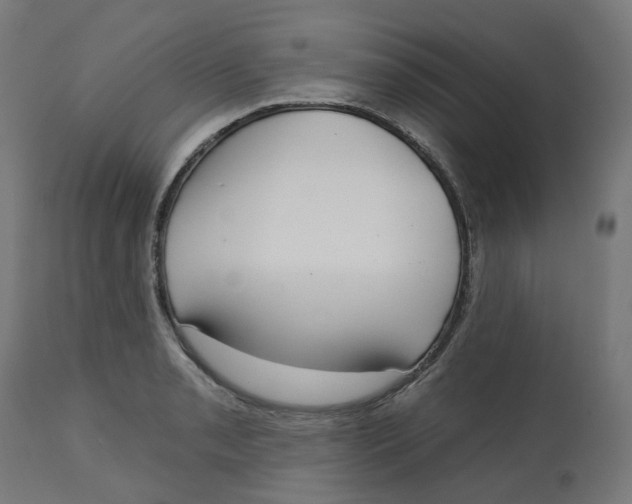 X0000112761085200909171244