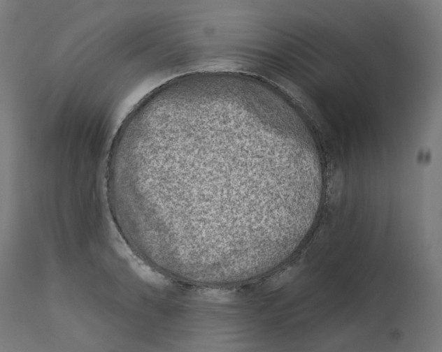 X0000112761086200909171244