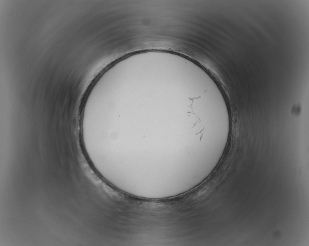 X0000112761088200909171244