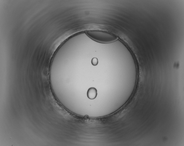 X0000112761089200909171244
