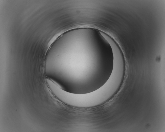 X0000112761097200909171244