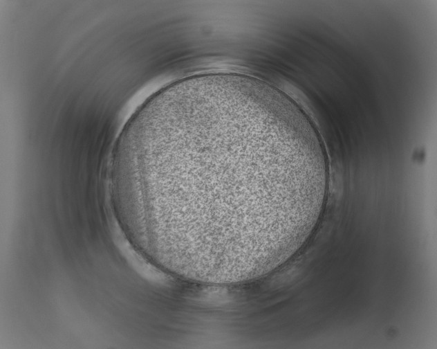 X0000112761098200909171244