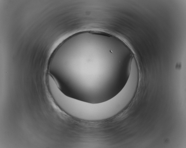 X0000112761101200909171244