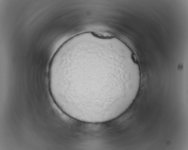 X0000112761103200909171244