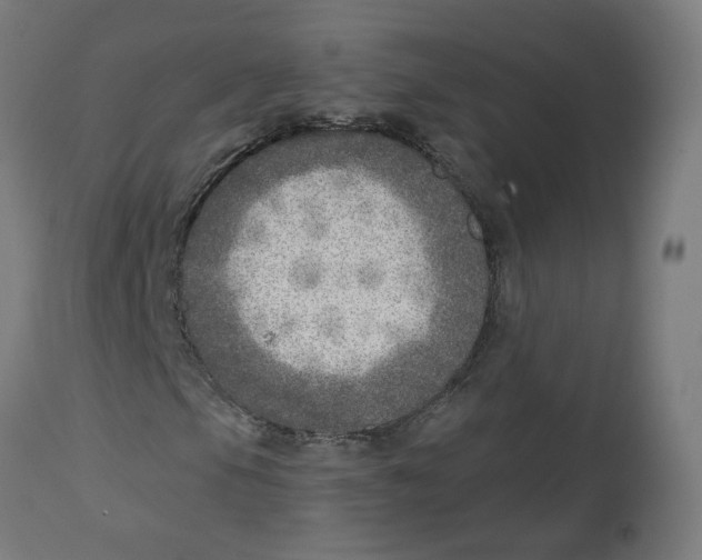 X0000112761105200909171243