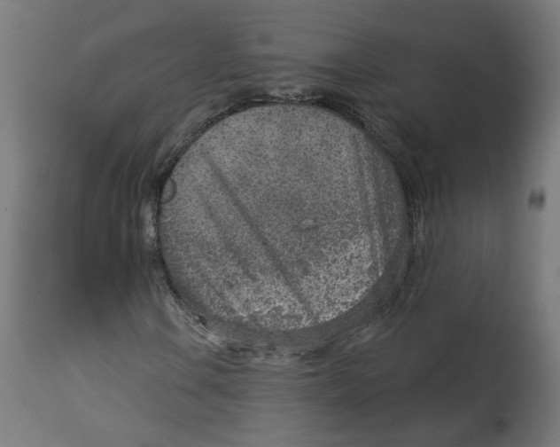 X0000112761106200909171243