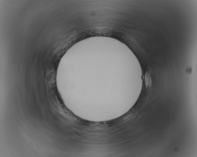 X0000112761107200909171243