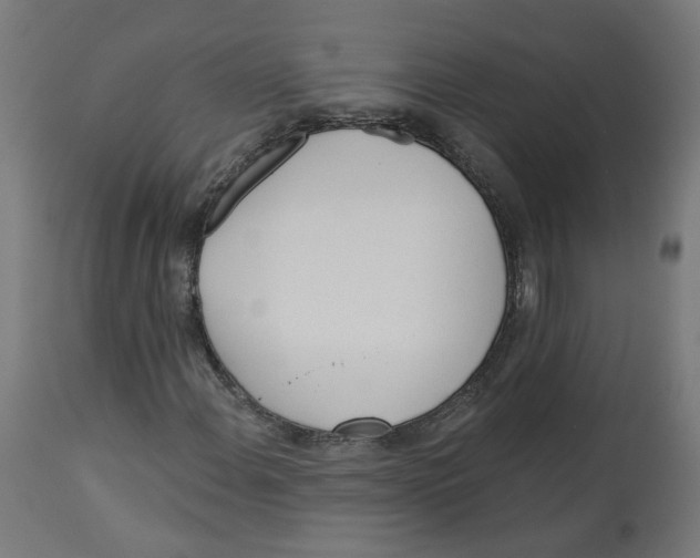 X0000112761108200909171243
