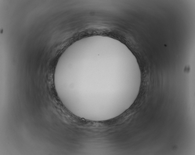 X0000112761109200909171243