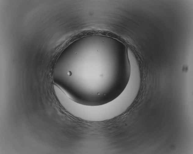 X0000112761110200909171243