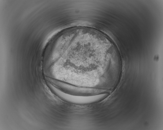 X0000112761115200909171243