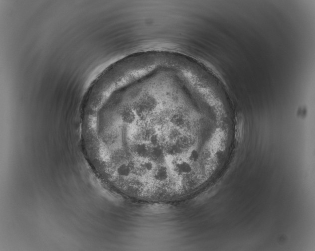 X0000112761117200909171243