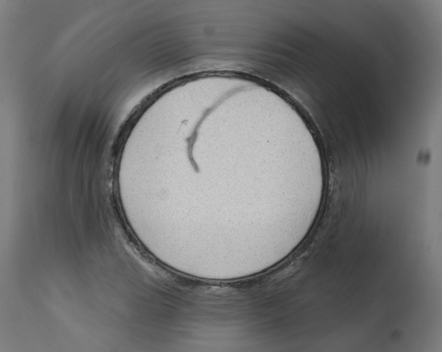 X0000112761119200909171243