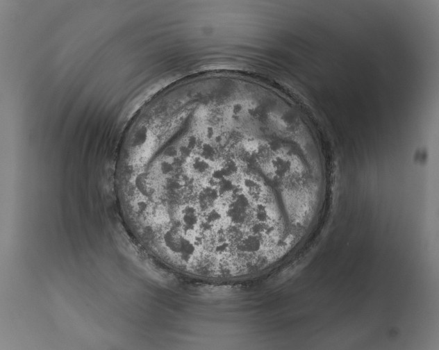X0000112761121200909171243