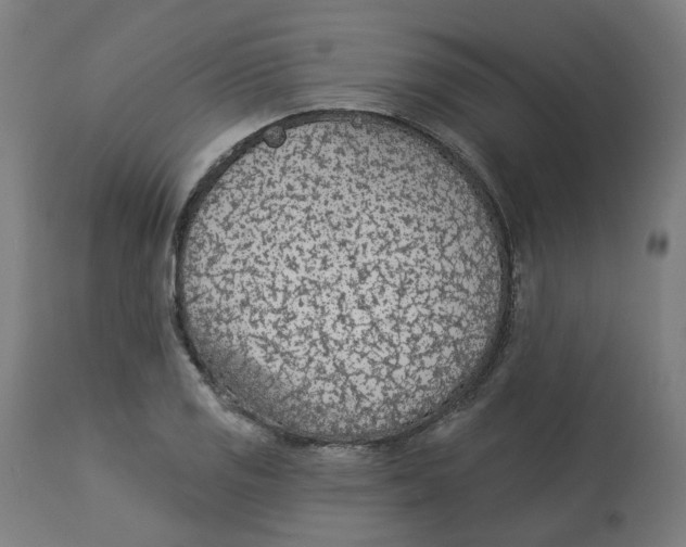 X0000112761125200909171243