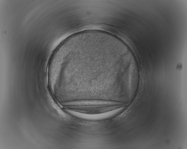 X0000112761127200909171243