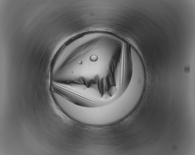 X0000112761132200909171243