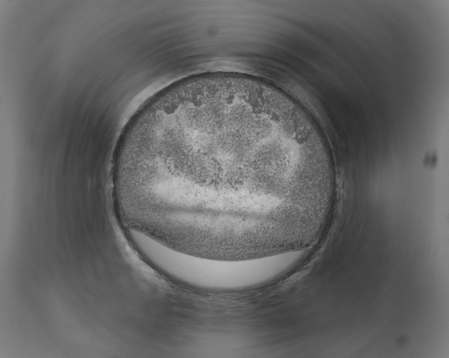 X0000112761133200909171243