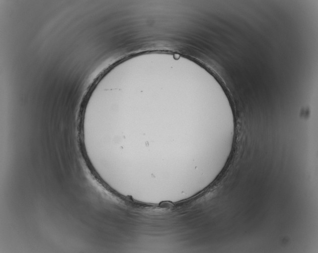 X0000112761135200909171243