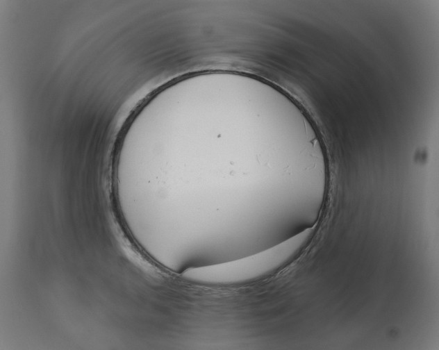 X0000112761136200909171243