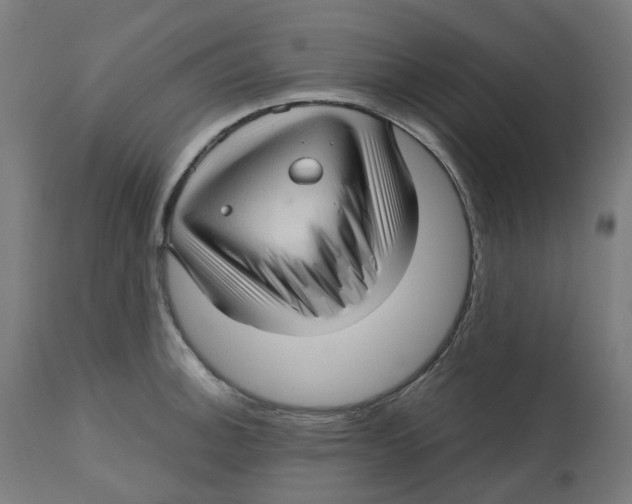 X0000112761140200909171243