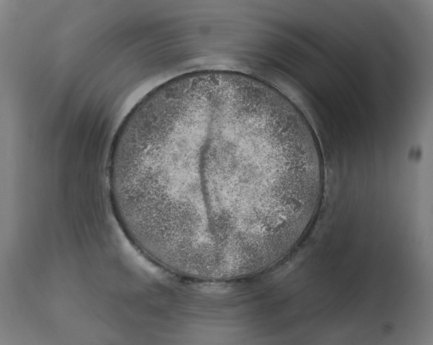 X0000112761141200909171243