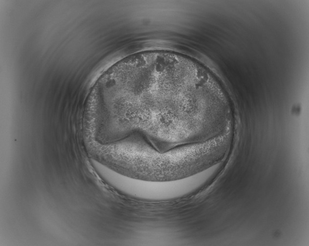 X0000112761145200909171243