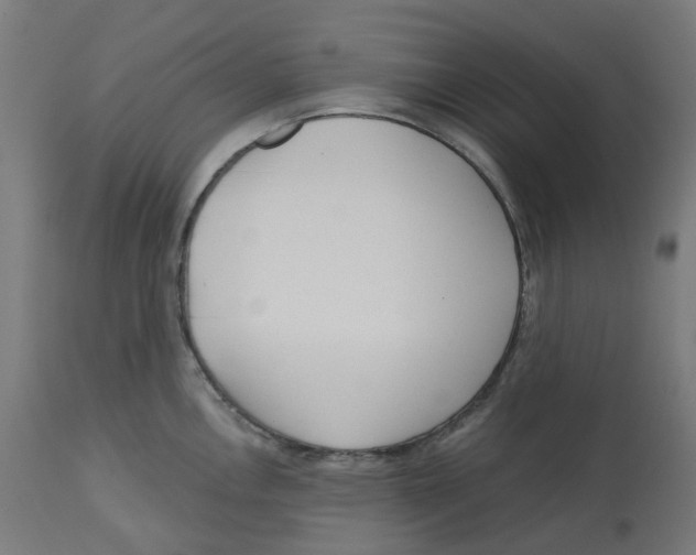 X0000112761146200909171243