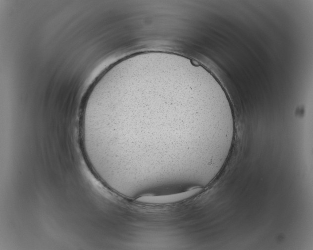 X0000112761147200909171243