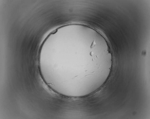 X0000112761148200909171243