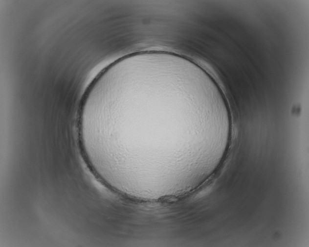 X0000112761149200909171243