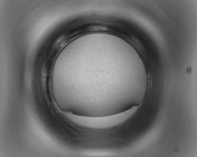 X0000112761151200909171244