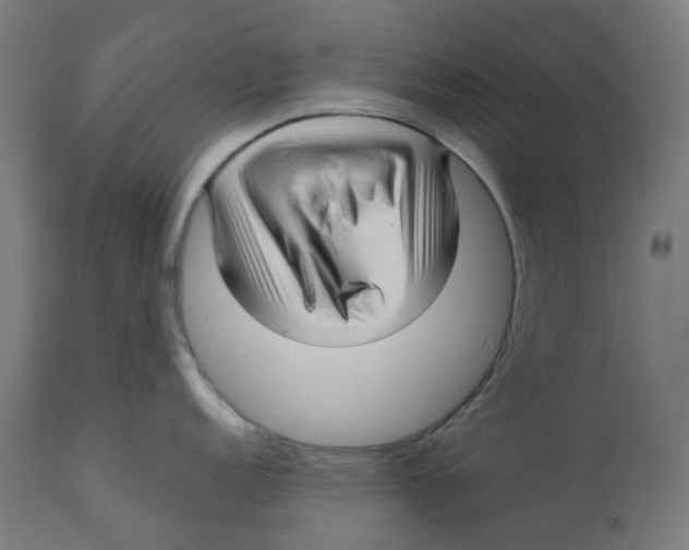 X0000112761152200909171244