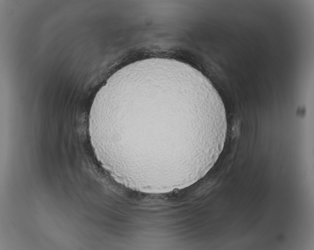 X0000112761156200909171243